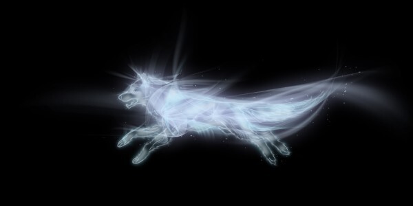 wolf-600x300.jpg