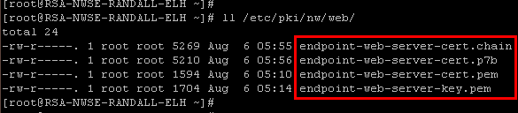 pastedImage_3.png