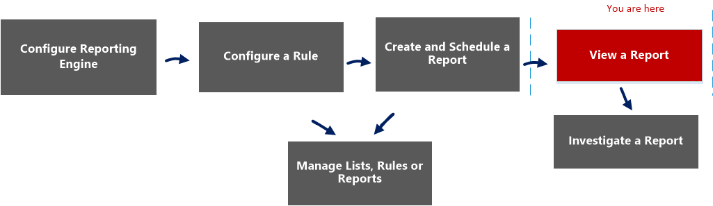 netwitness_view_report_workflow.png