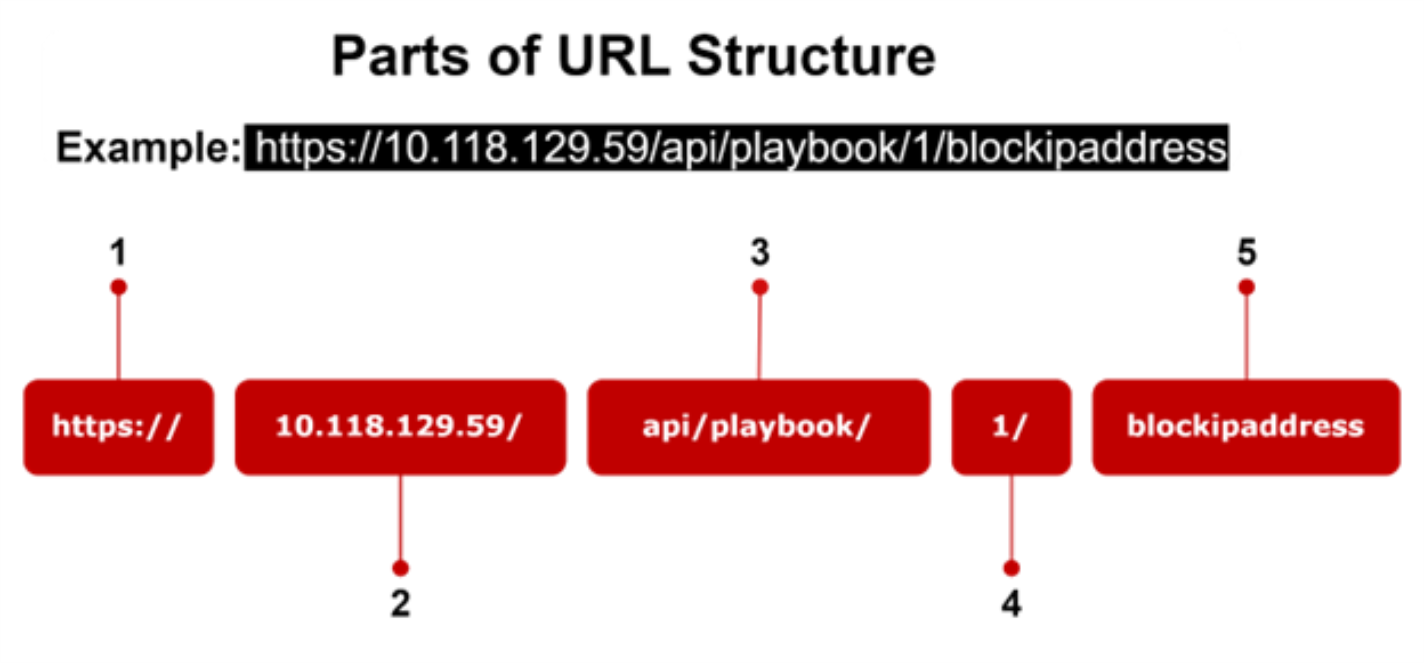 124_urlstructure_0224_1424x663.png